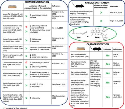 Sulforaphane Potentiates Anticancer Effects of Doxorubicin and Cisplatin and Mitigates Their Toxic Effects